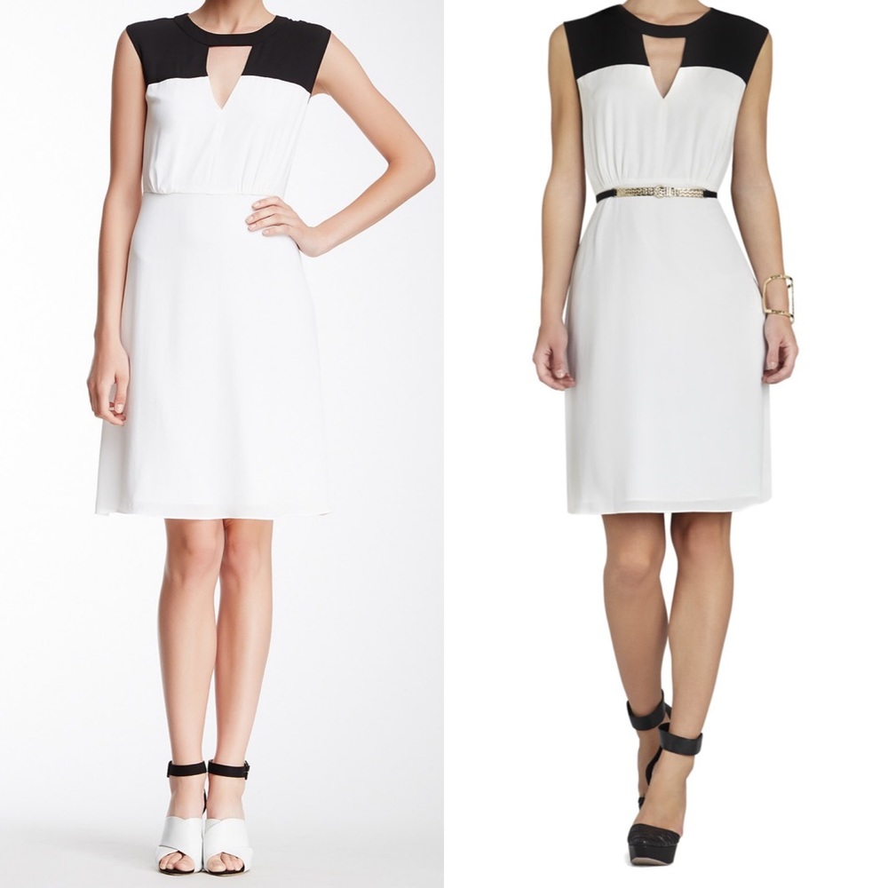 Color Block BCBG Dress